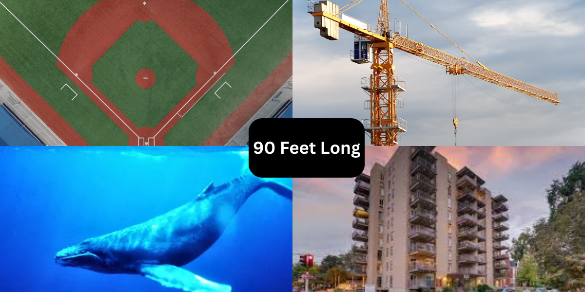 10 Things That Are 90 Feet Long or Tall