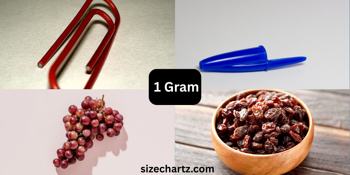 9 Most Common Things That Weigh About 1 Gram