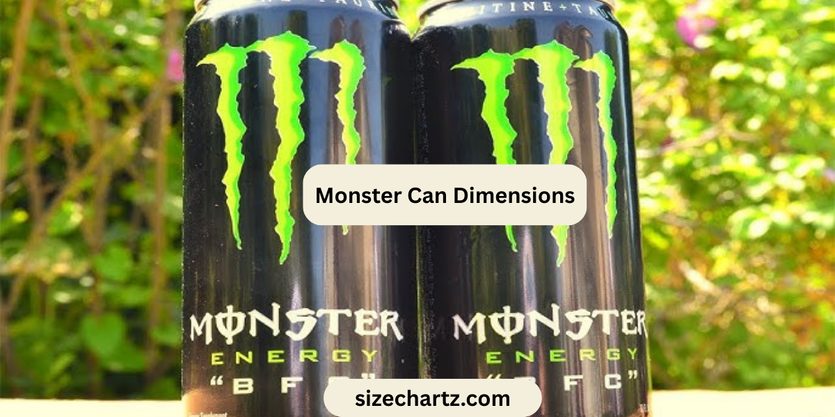 Monster Can Dimensions: Size, Height, Length, Diameter & Everything You Need to Know