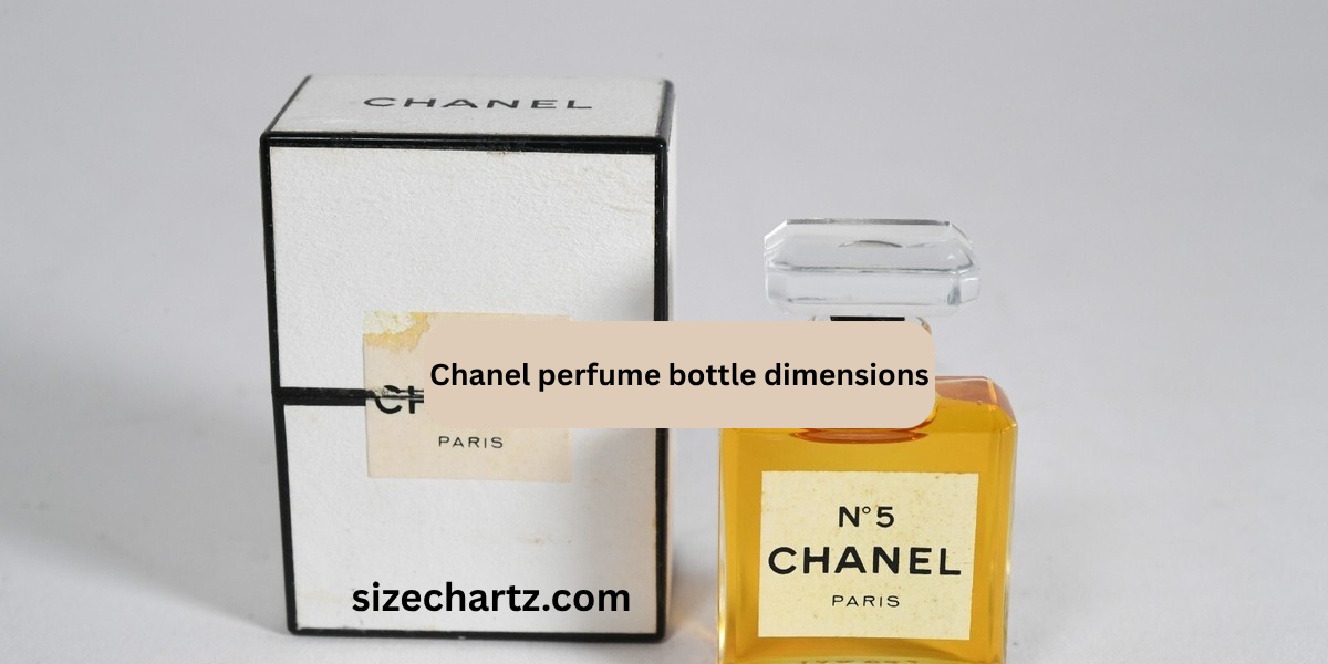 Chanel perfume bottle dimensions: A Complete Guide To Chanel perfume bottle Sizes, With Height, Length, & Diameter