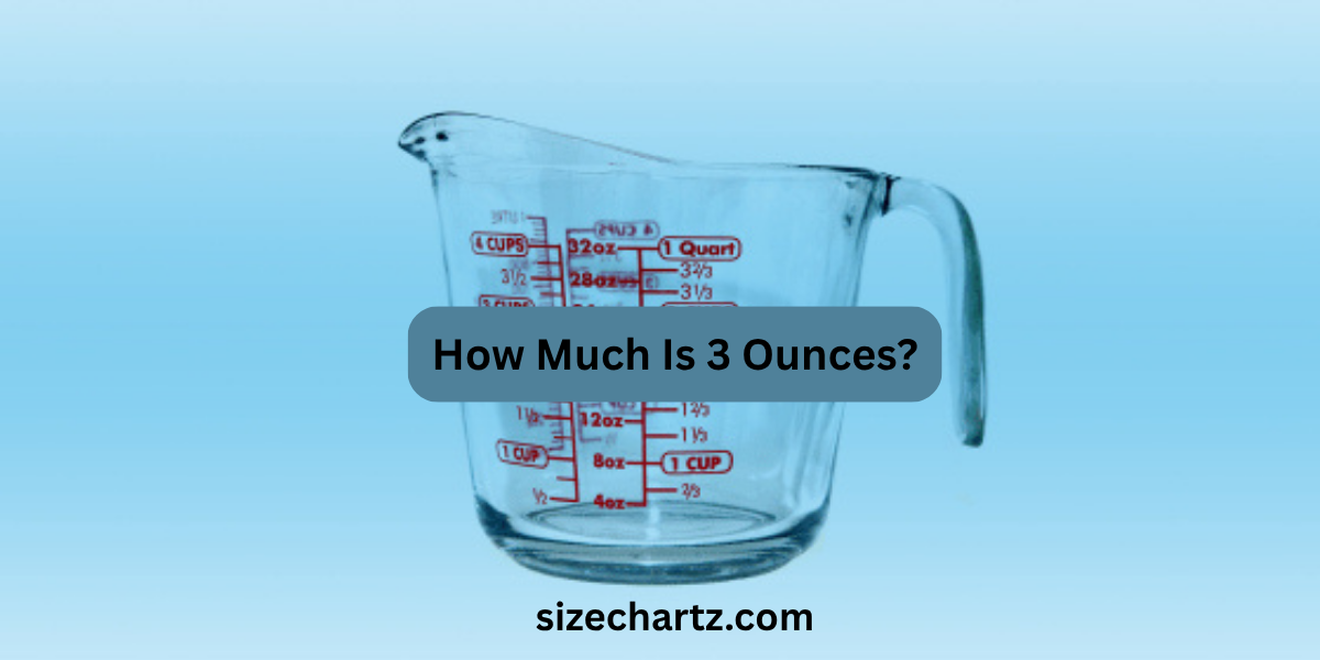 How Much Is 3 Ounces? 11 Most Common Things That Weigh 3 Ounces